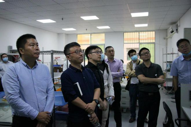 K体育深圳首个广东省特色产业数字化集群通过论证